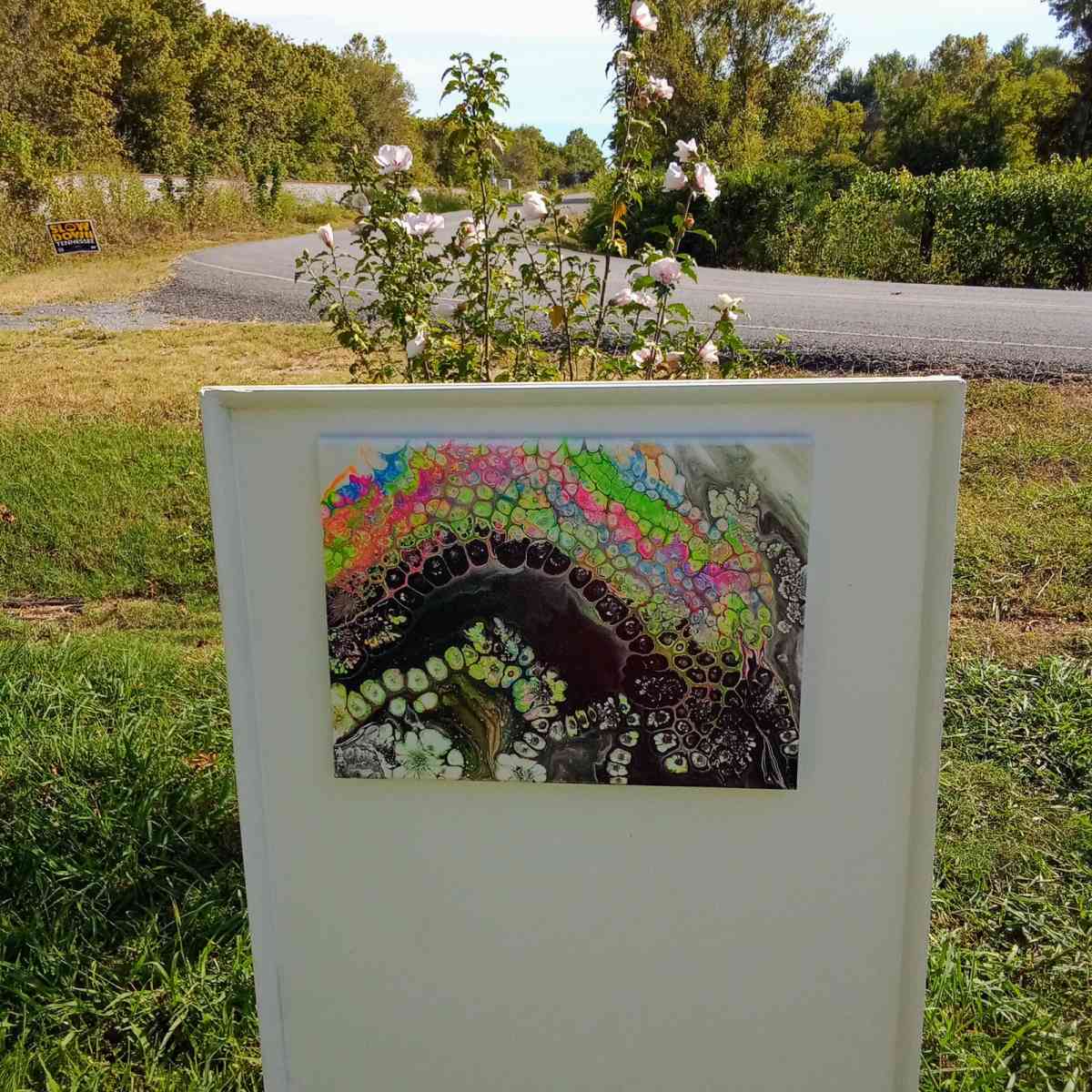 16 x 12 x 1 Acrylic Pour Painting