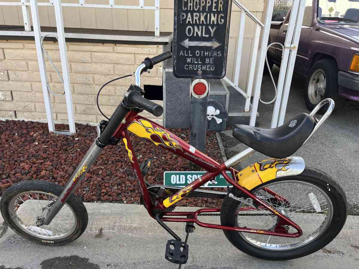 Harley Davidson bike bicycle rare collector