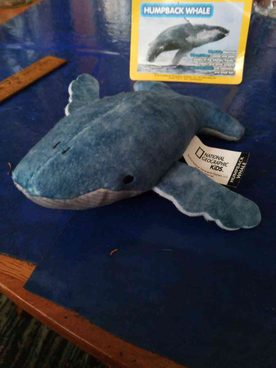National Geographic humpback whale