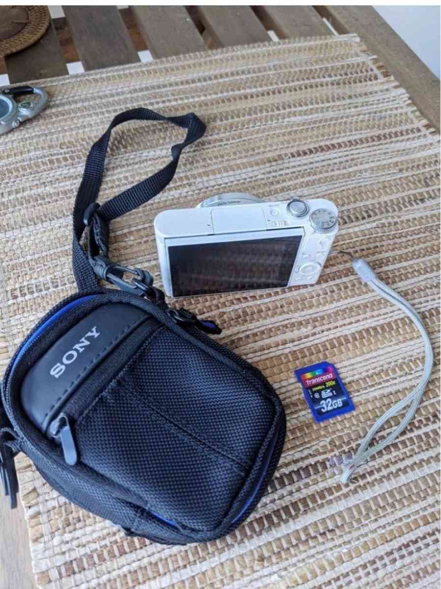 Sony DSCWX500 Digital Camera