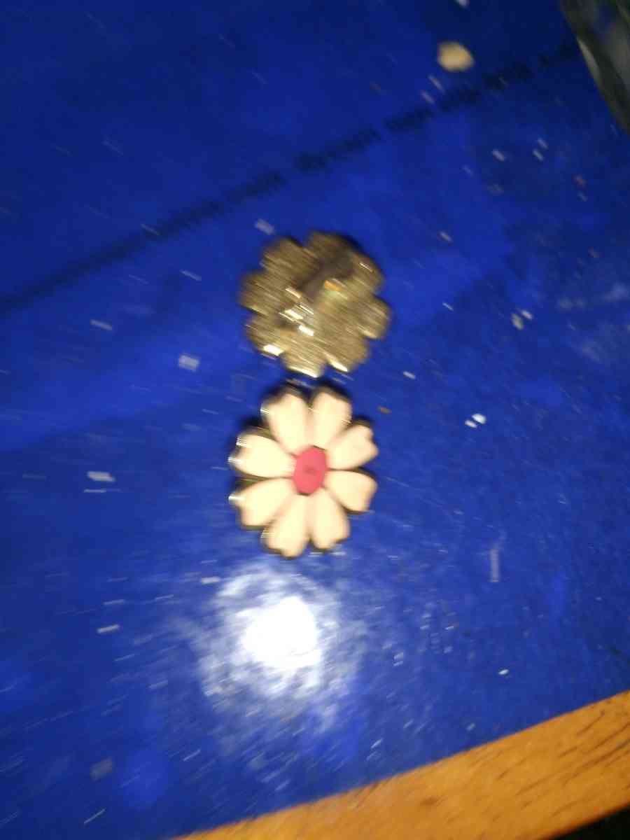 Vintage pair of enameled clip on earrings