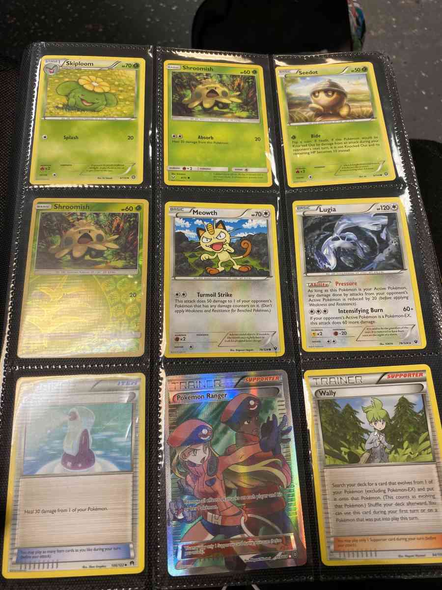 Pokmon binder and cards