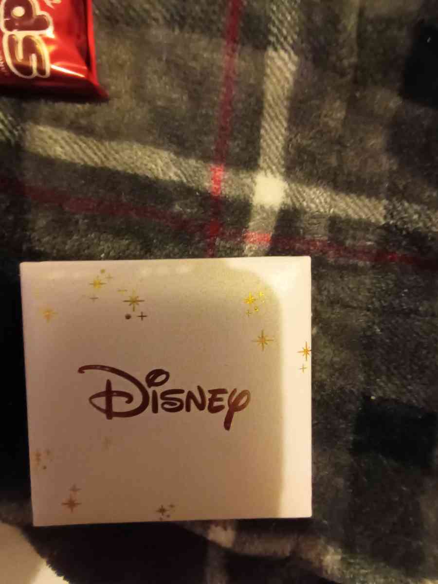 sterling silver Disney necklace with ladybug charm