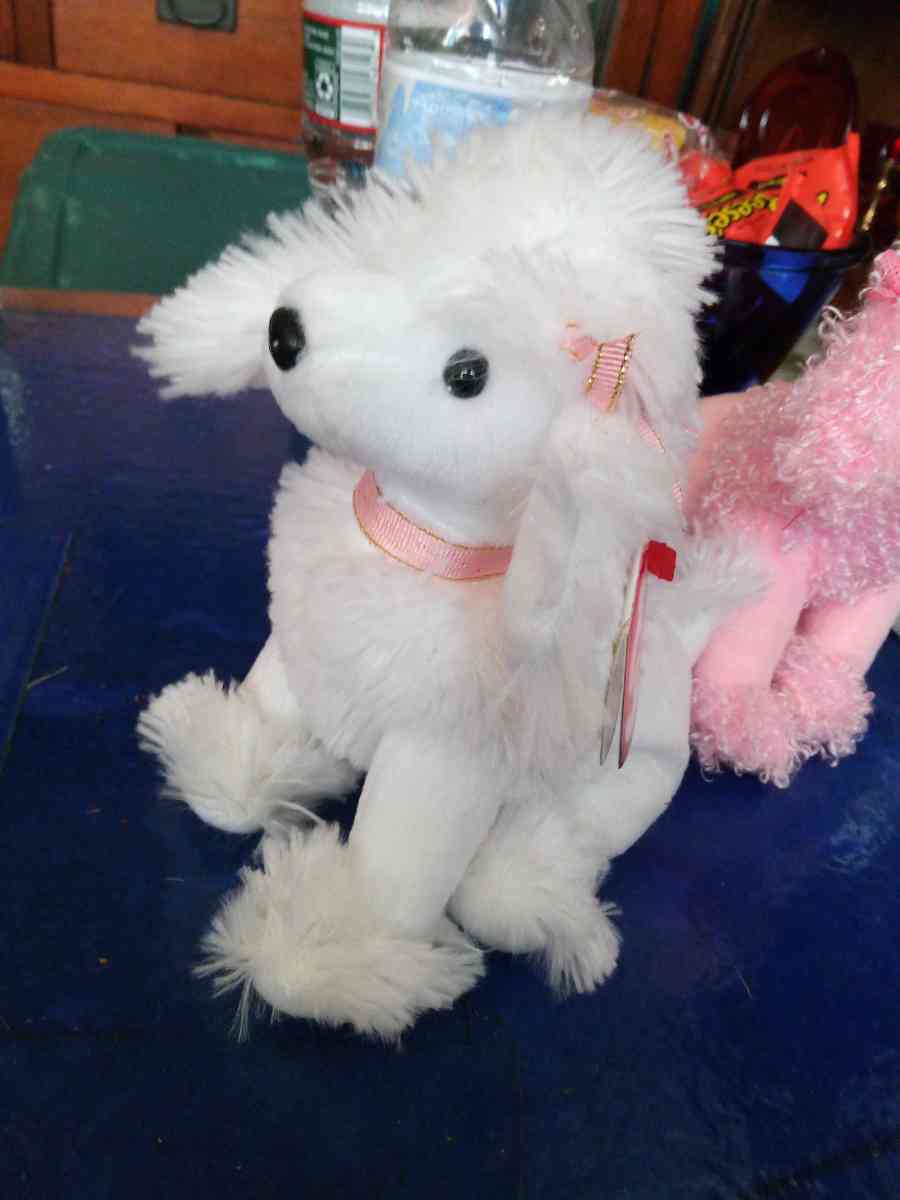 TY L amore beanie baby