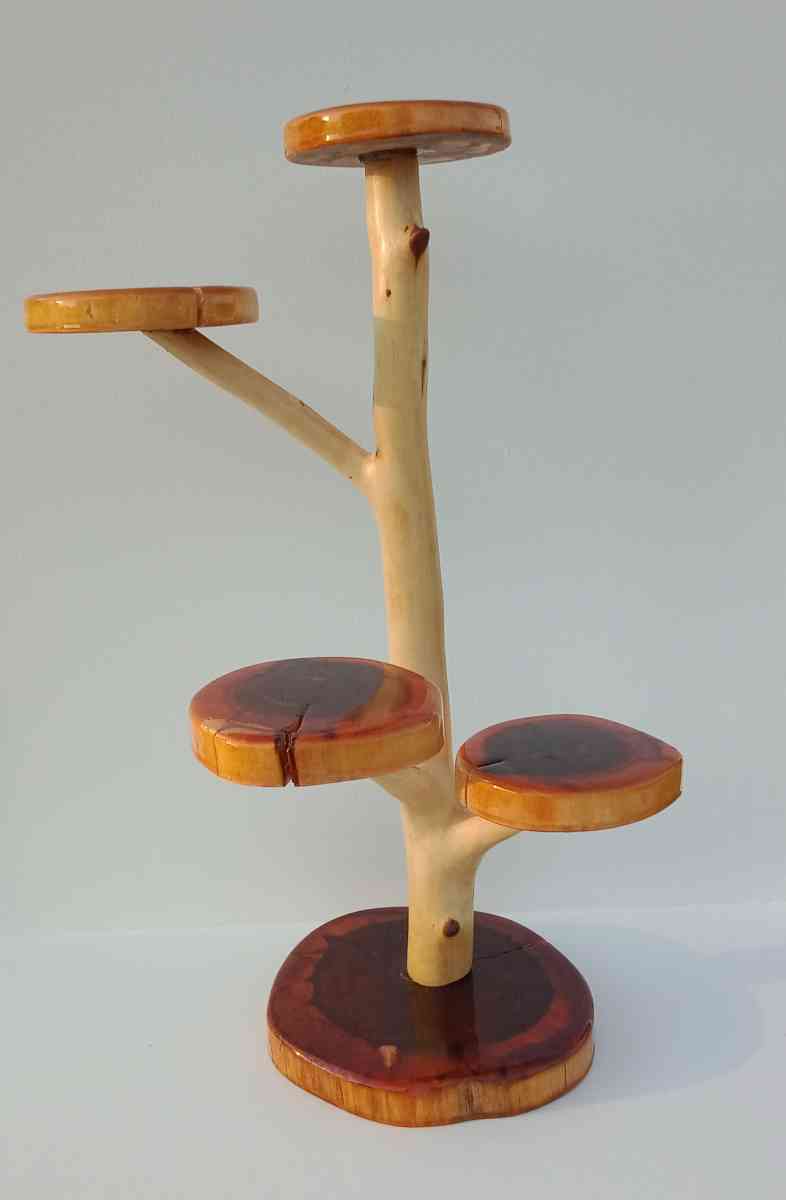 jaw dropping cedar display piece