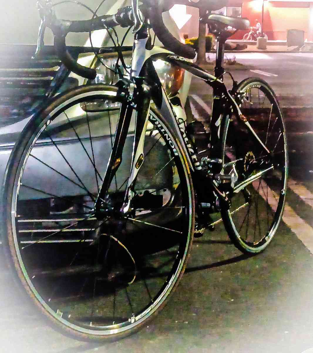 Specialized Roubaix Pro