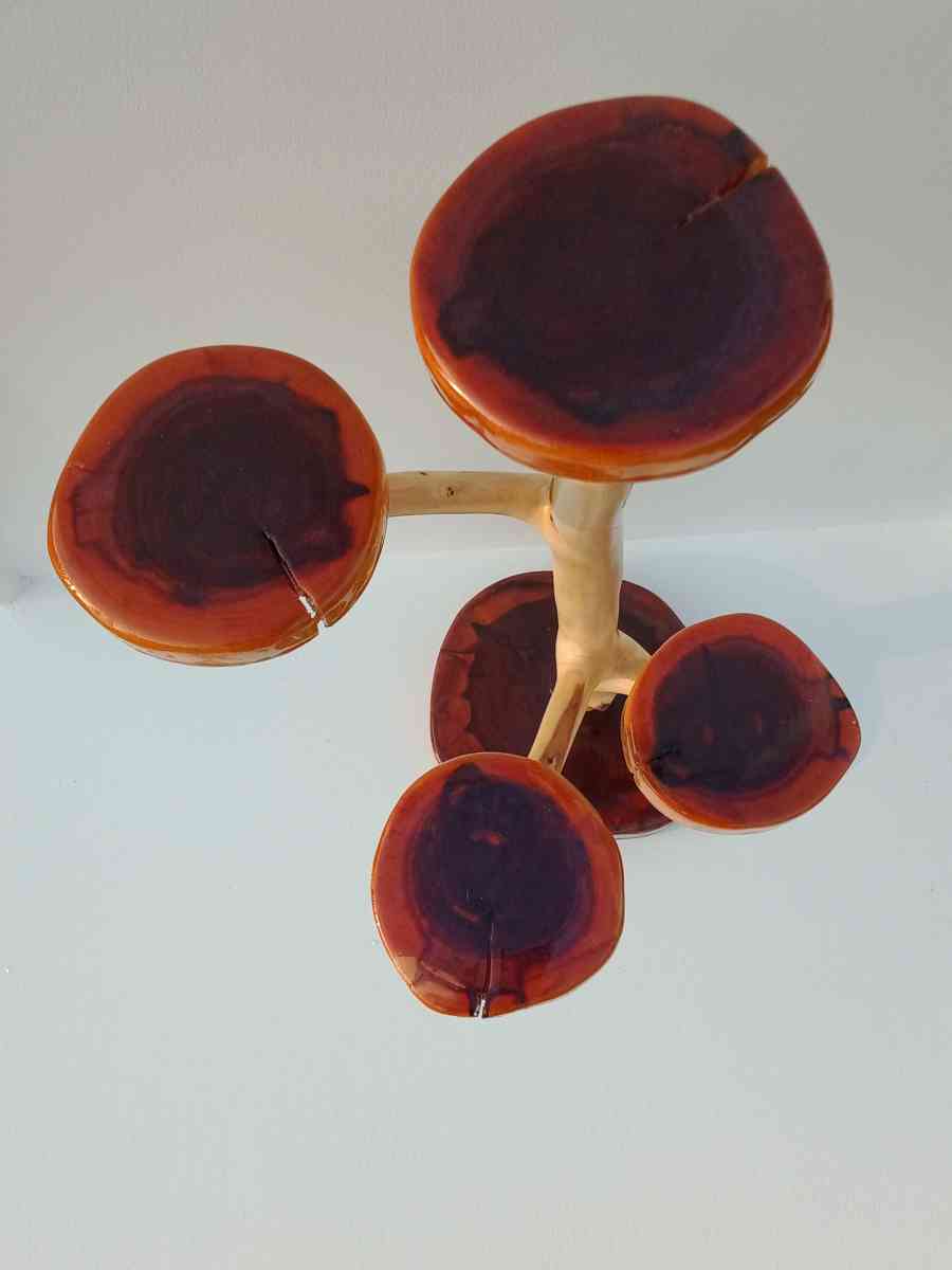 jaw dropping cedar display piece