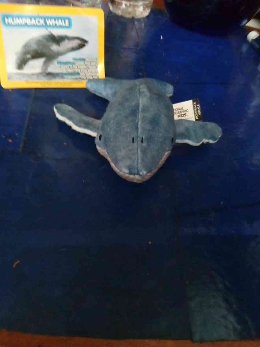 National Geographic humpback whale