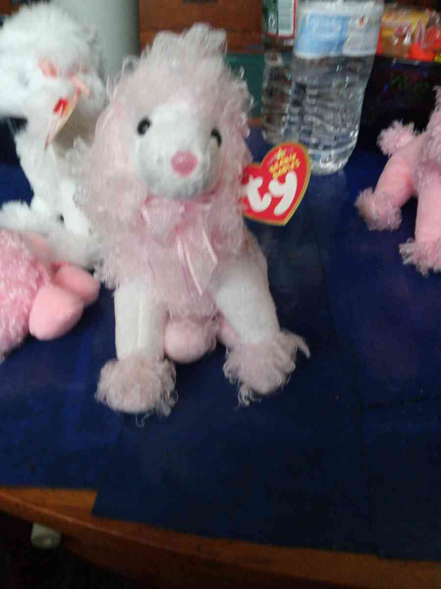 TY BEANIE DivalIghtful