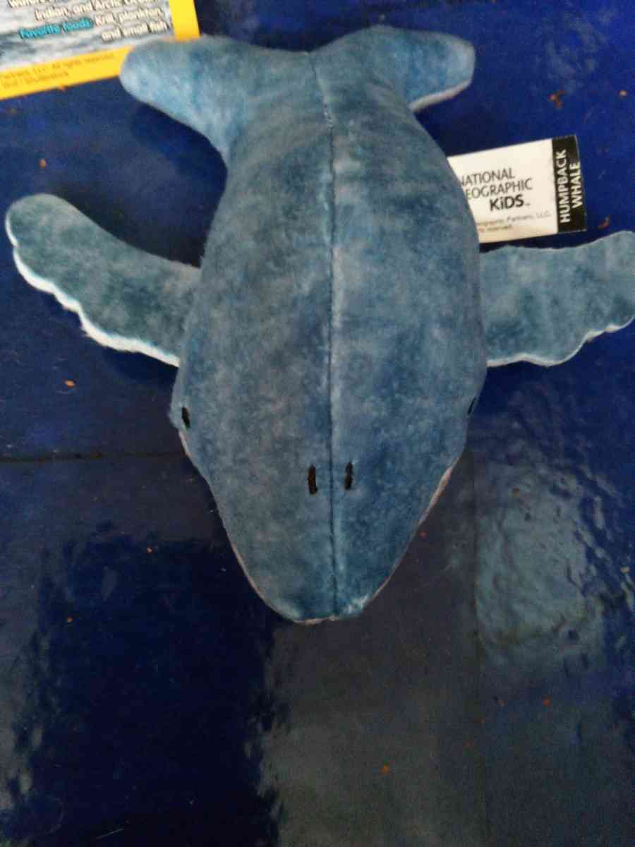 National Geographic humpback whale