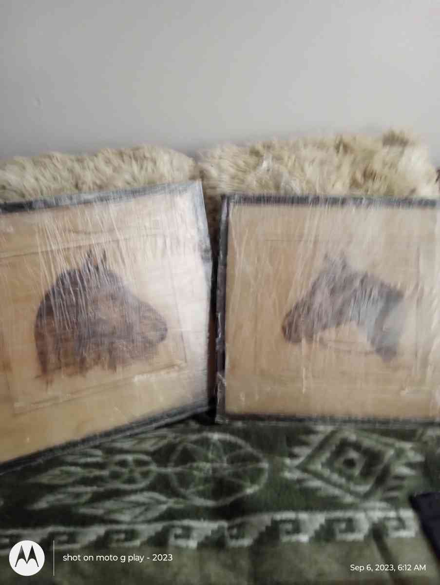 A set of RH Palinskes  Horse pictures in frames