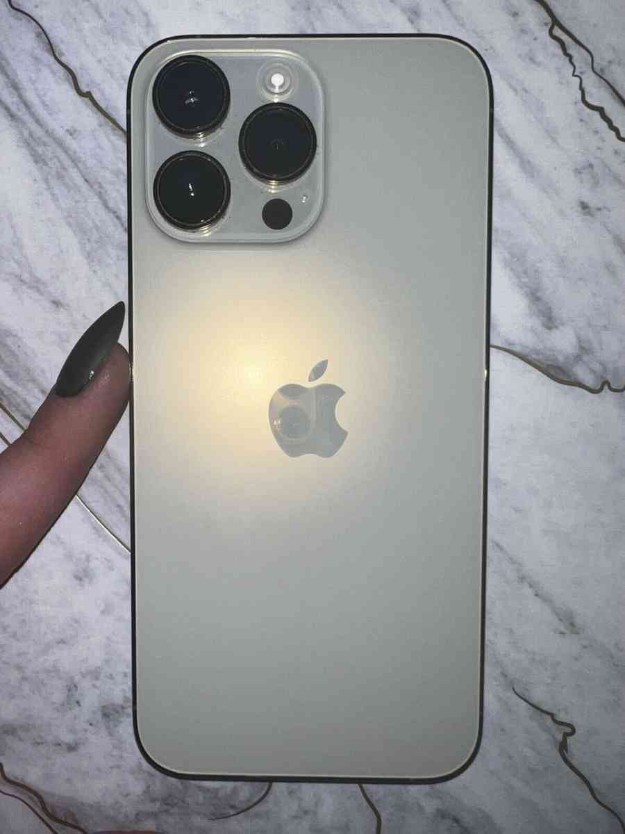 Apple iPhone 14 Pro Max in Silver  1TB