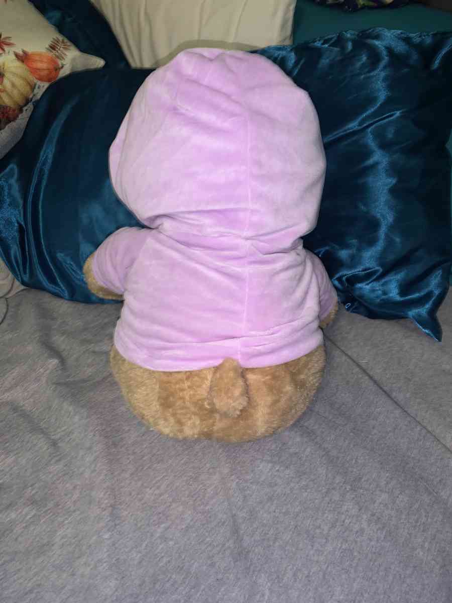 light brown ORIGINAL YOU MATTER voice recording bear