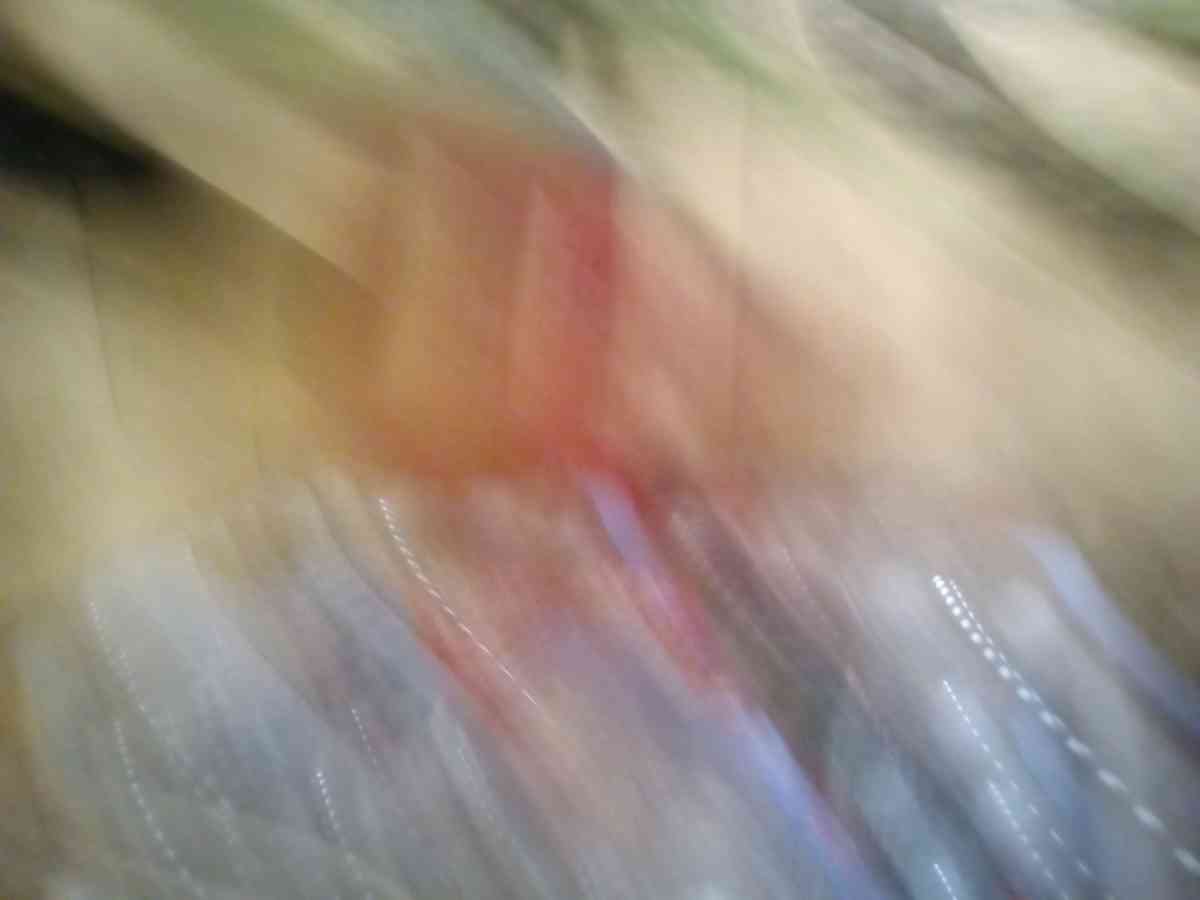 lnice 20inch trick bike