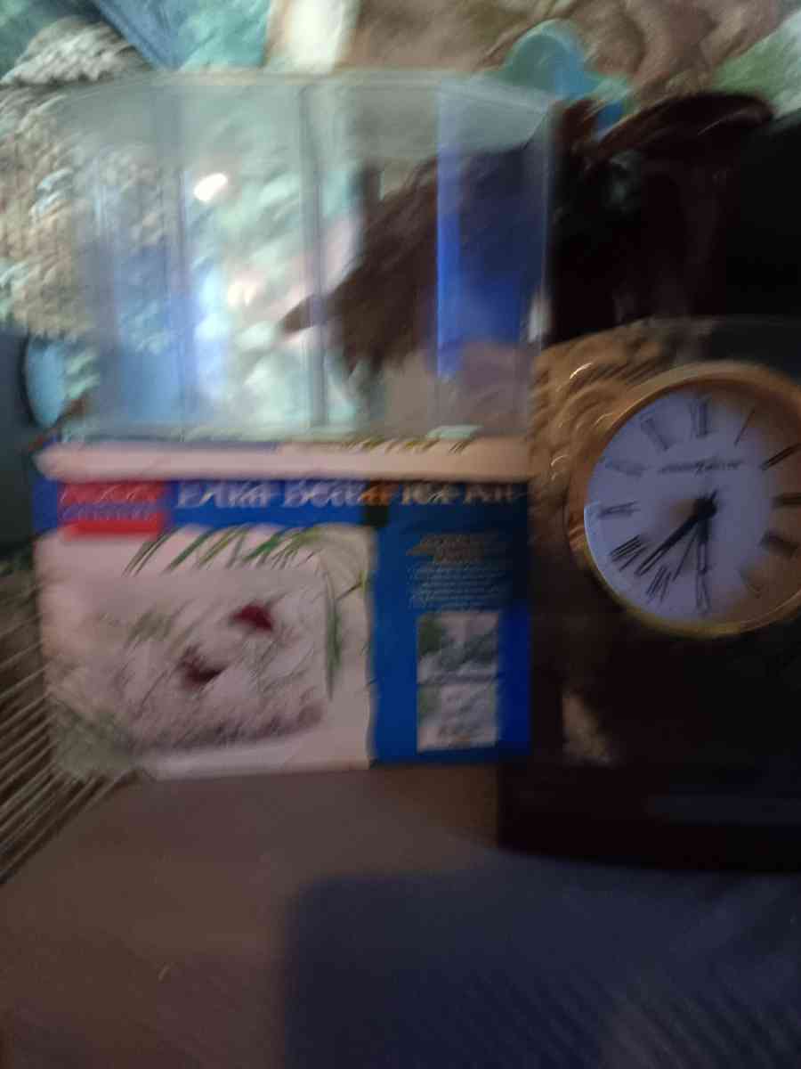 fighter fish holders