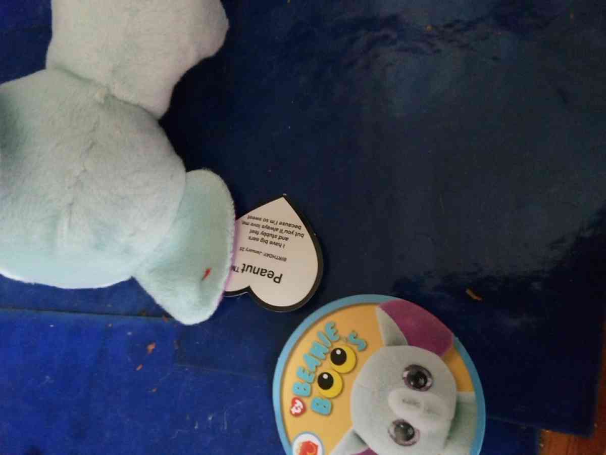TY BEANIE BOO  PEANUT THE ELEPHANT