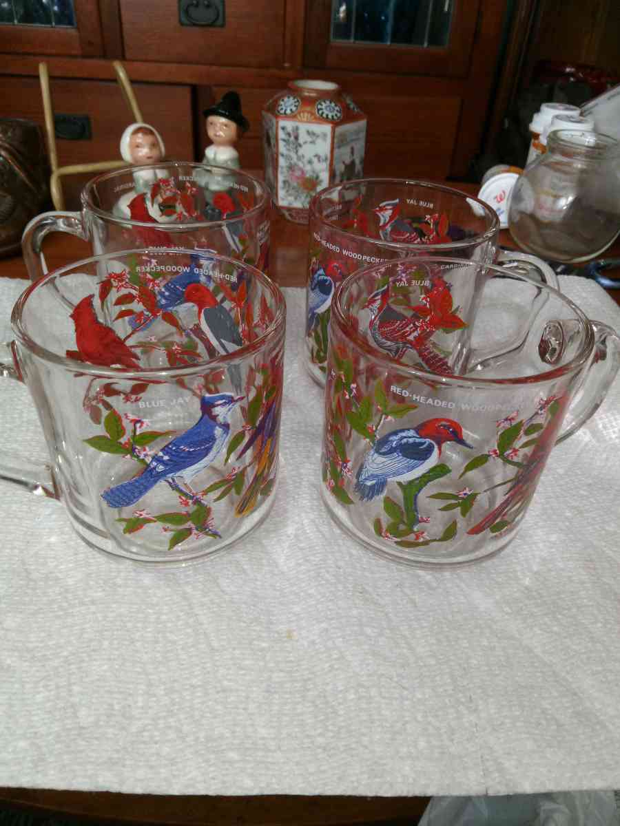 4 Arcorac Audubon Birds of America Mugs