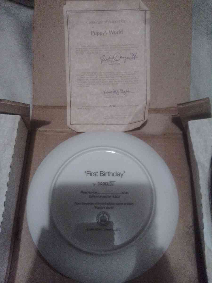 Droguett First Birthday Puppys world collectible Plate