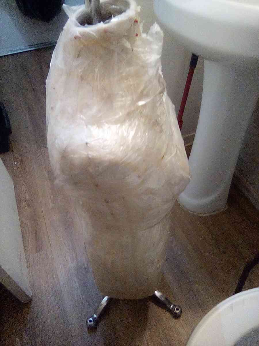 Female Dress Form Mannequin