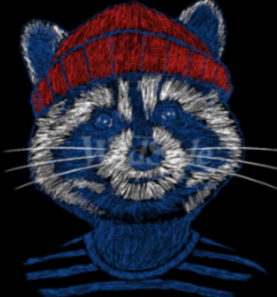 MENS STYLISH RACCOON IN A BEANIE GRAPHIC T SHIRT