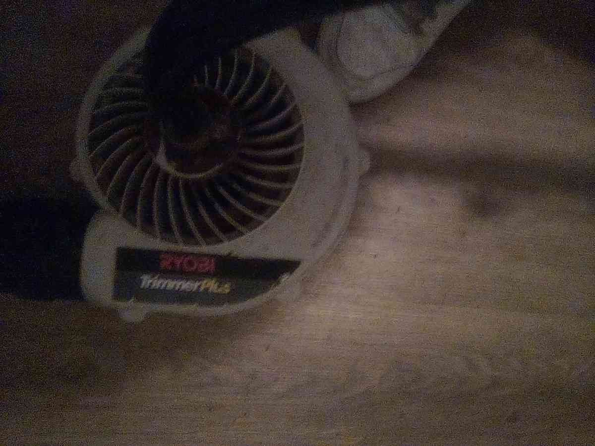 Ryobi electric changeable blower