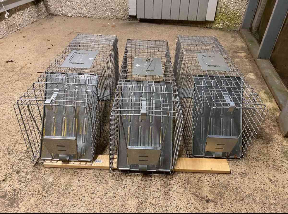 Animal Traps