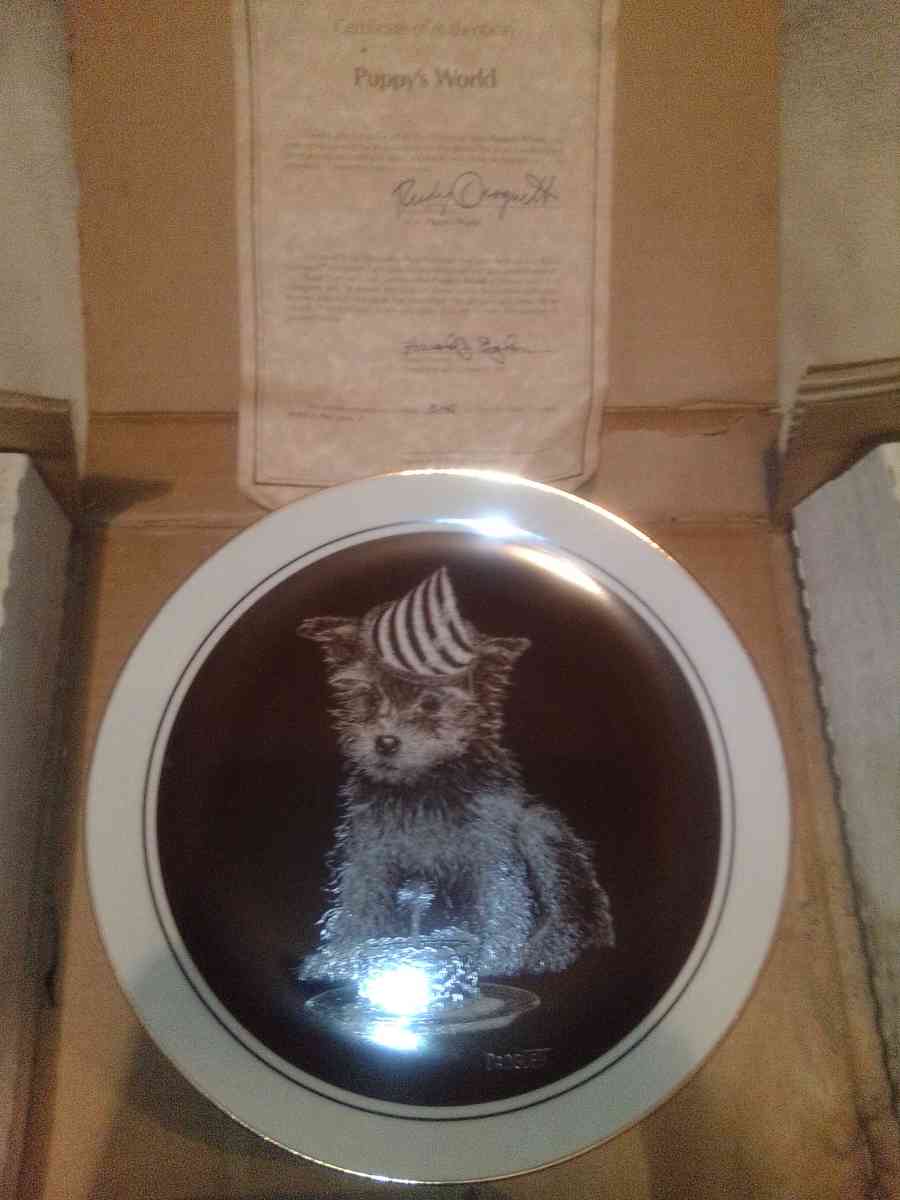 Droguett First Birthday Puppys world collectible Plate
