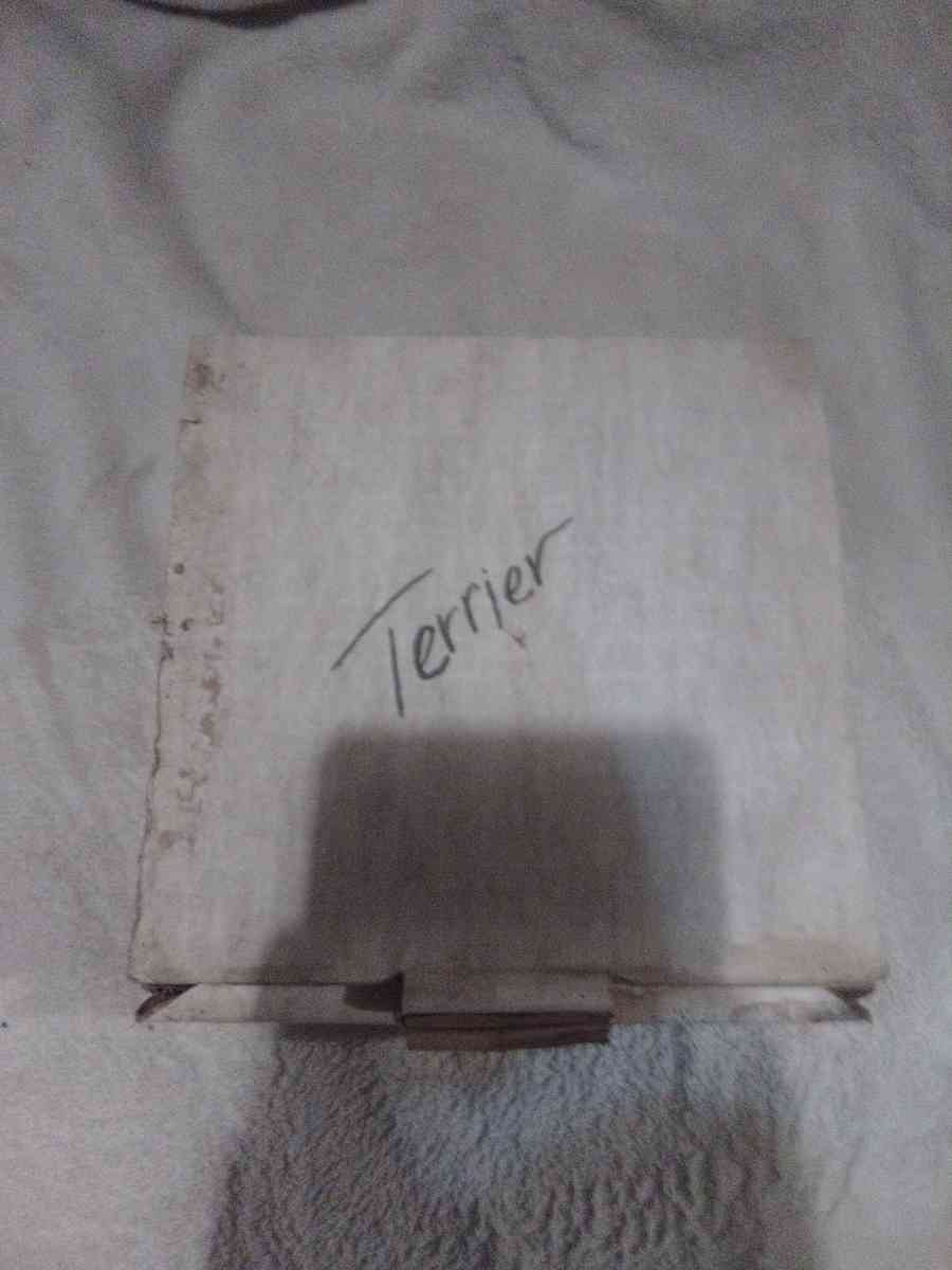 Droguett First Birthday Puppys world collectible Plate