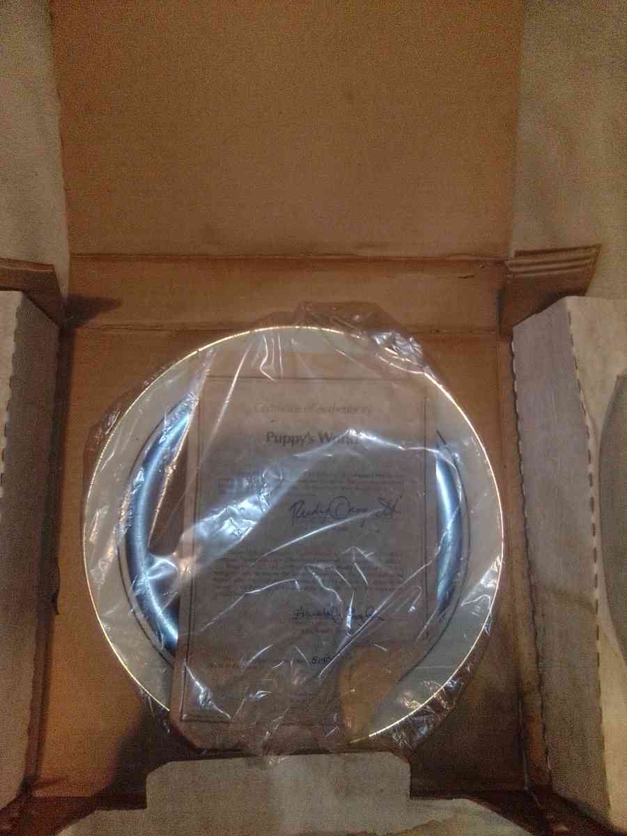 Droguett First Birthday Puppys world collectible Plate