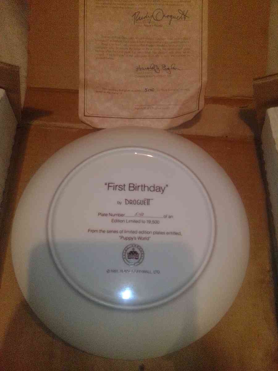Droguett First Birthday Puppys world collectible Plate