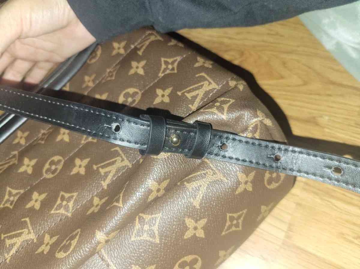 Louis Vuitton Palm Springs Mini