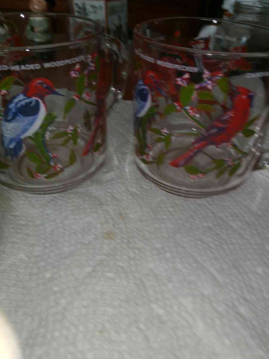 4 Arcorac Audubon Birds of America Mugs