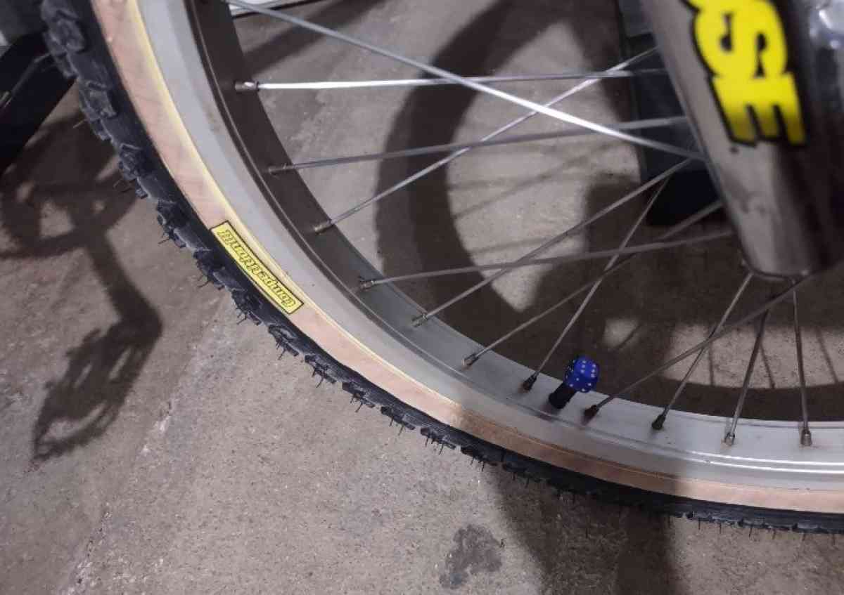 1996 mongoose super goose racing bike