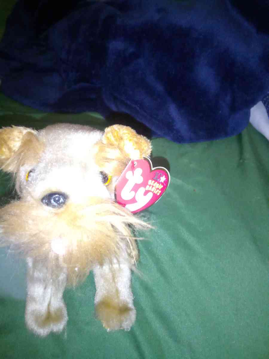 2002 Ty beanie babies 10 yrs Schnitzel mint selling collecti