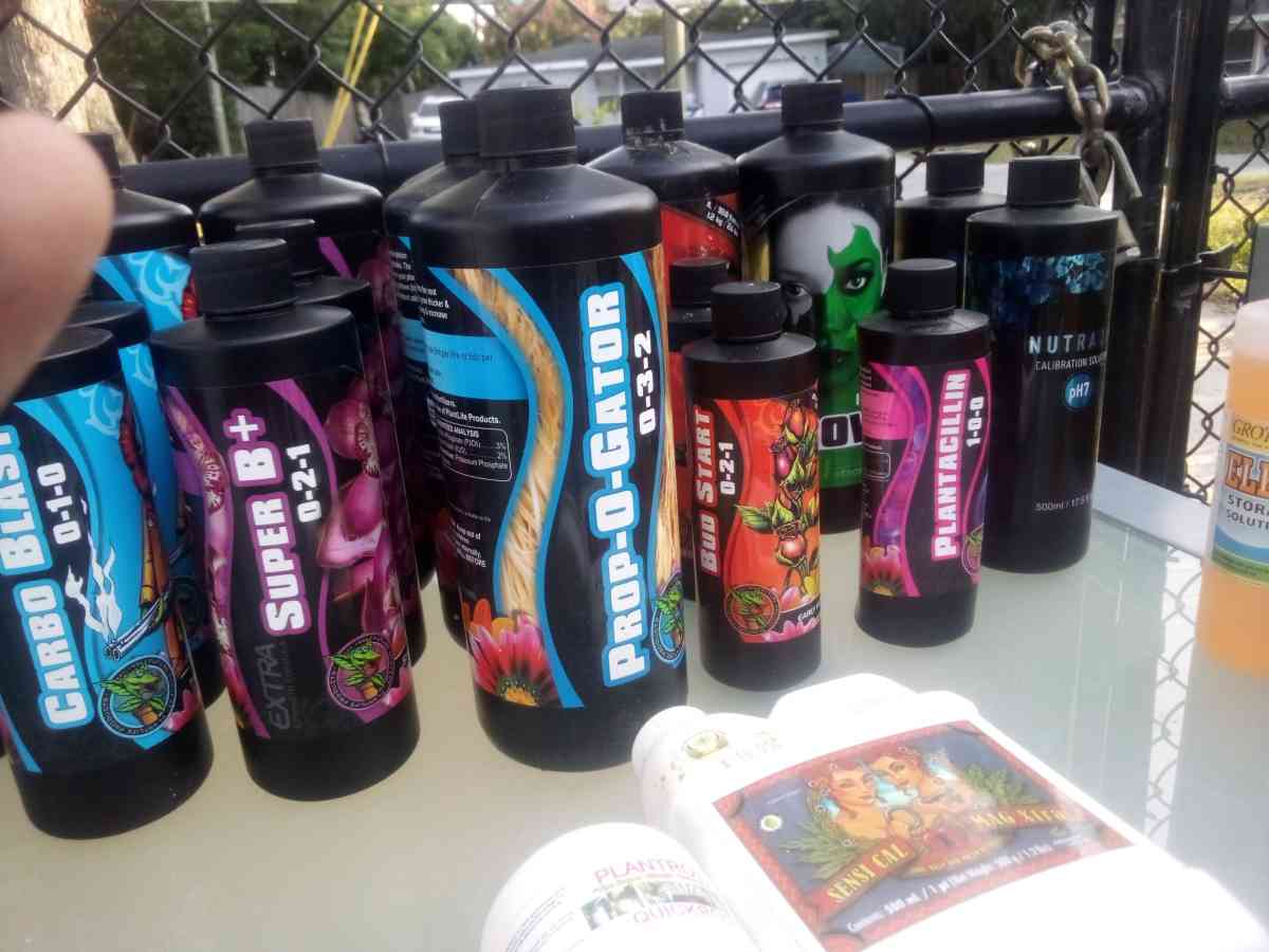 Bc northern lights hydroponics grow system box with extras