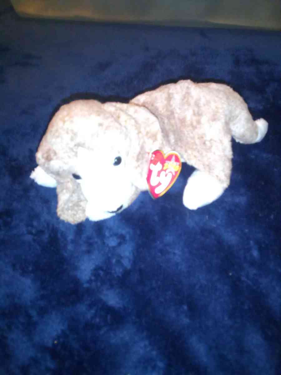 2000 Ty beanie babies sniffer mint selling collection off