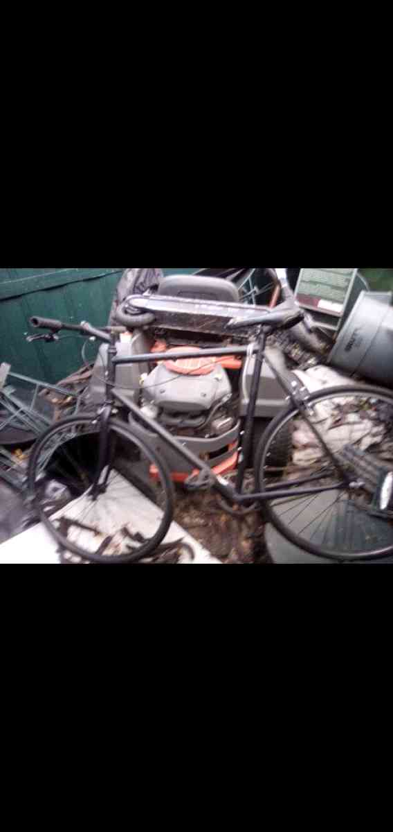 Schwinn mens bicycle 32 inch