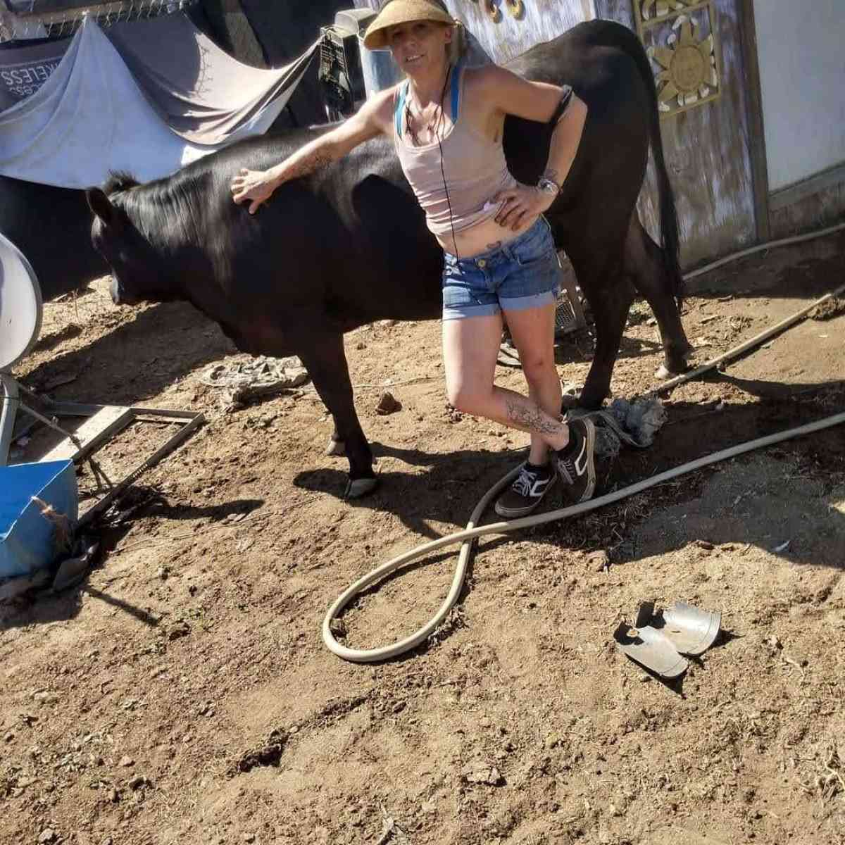 Bags of Fresh Manure