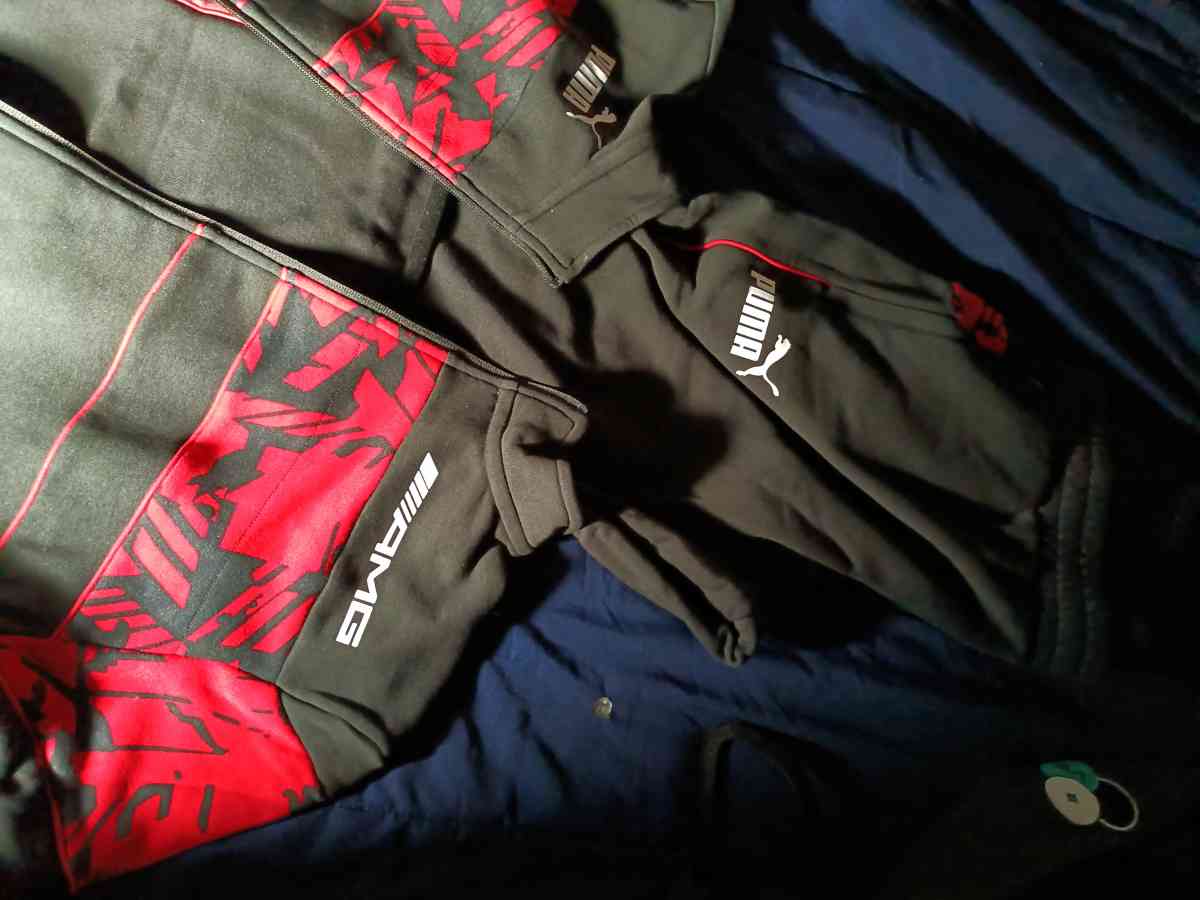 OFFICIAL FORMULA 1 GEAR