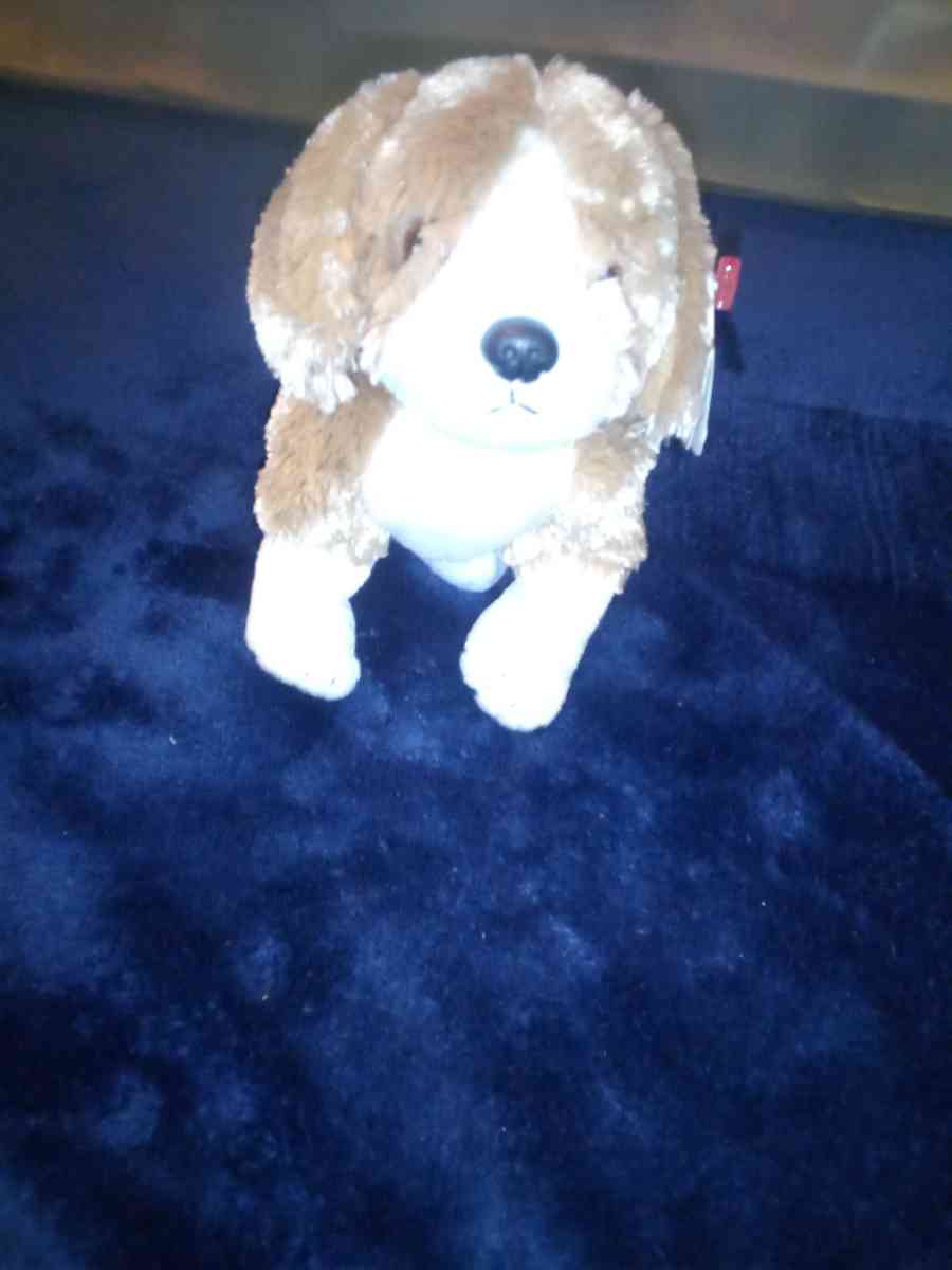 2003 Ty beanie babies side kick mint selling collection off