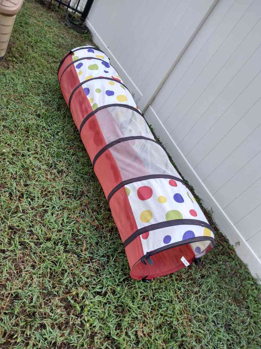 toddler crawl through tunnel
