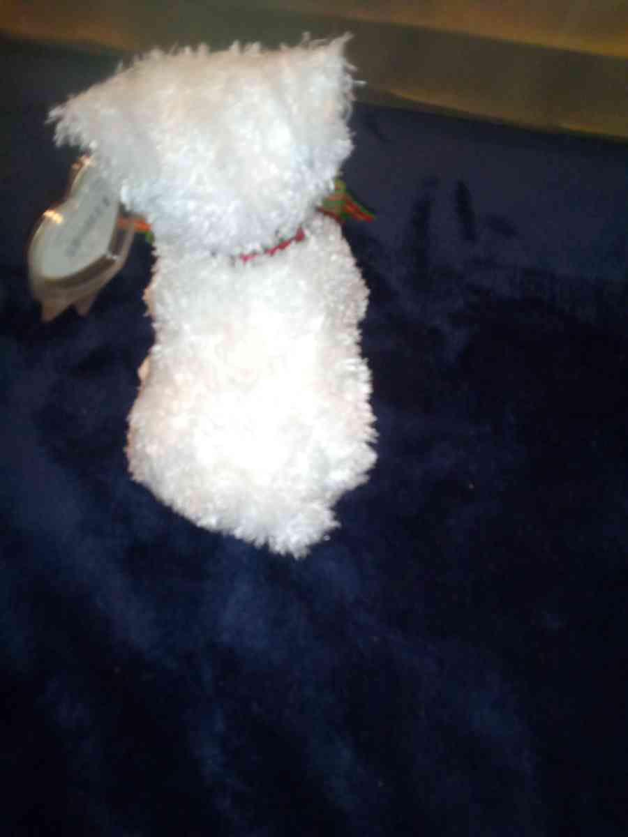 2001 Ty beanie babies Kirby mint selling collection off