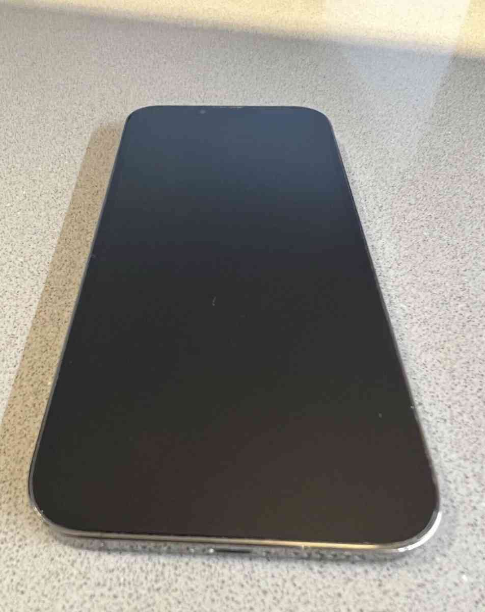 Apple iPhone 13 pro max 256 GB