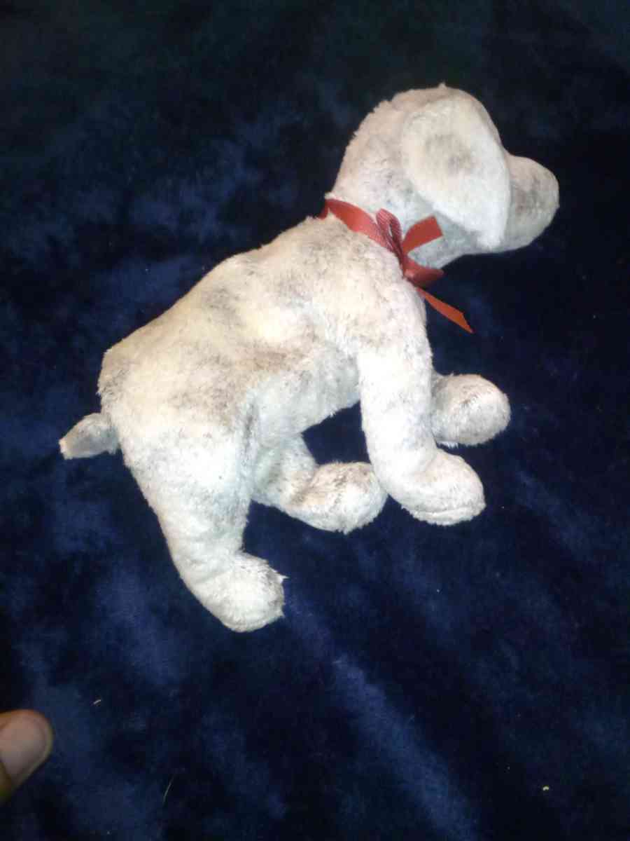 2000 Ty beanie babies Tricks mint selling collection off