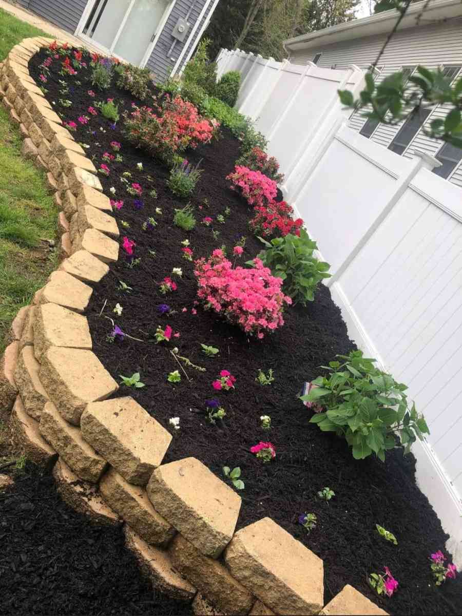 Servicio De Jardineria