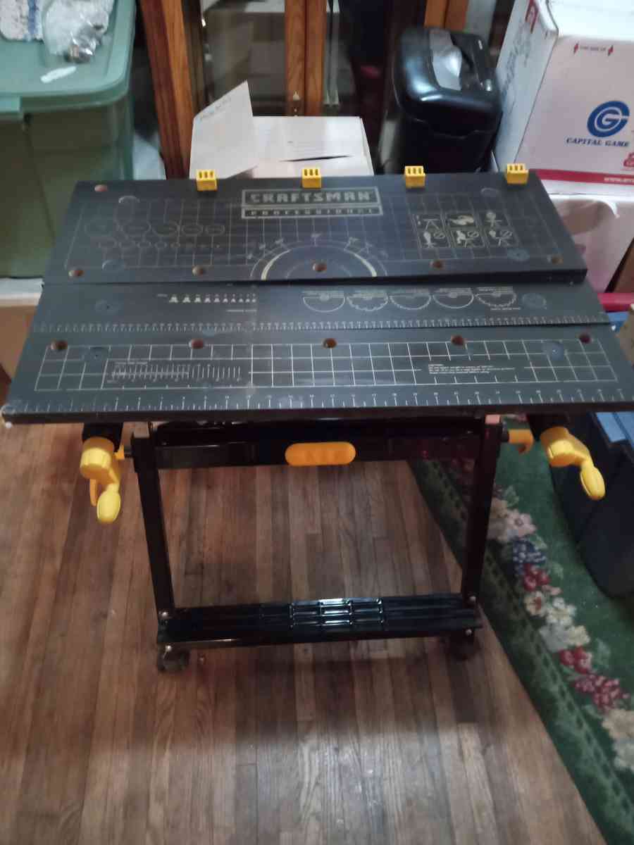 Craftsman professional saw table