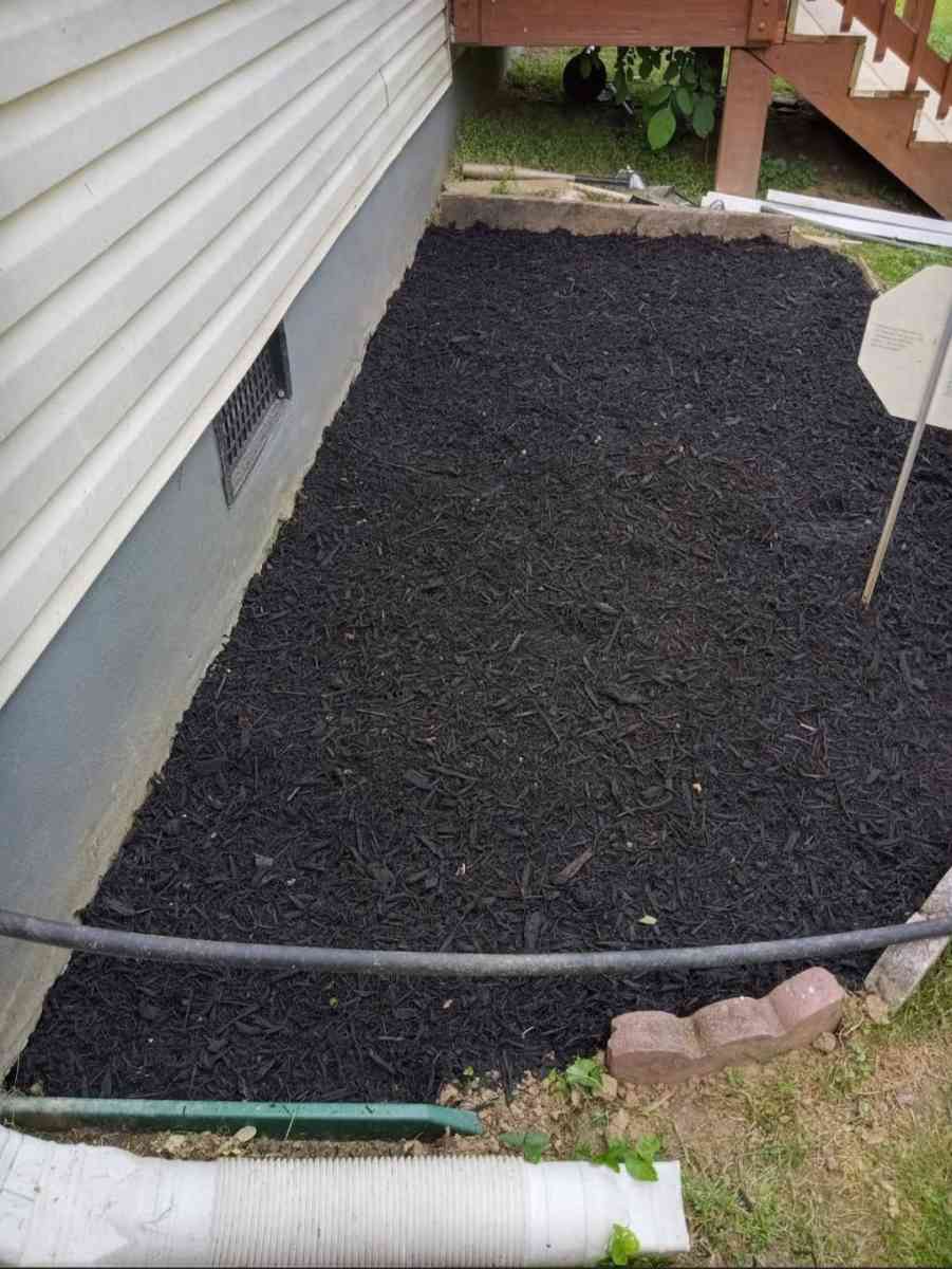 Servicio De Jardineria