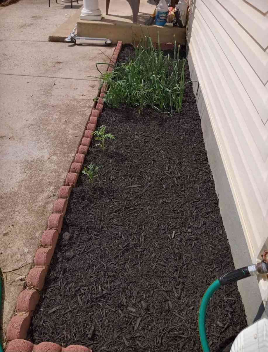 Servicio De Jardineria