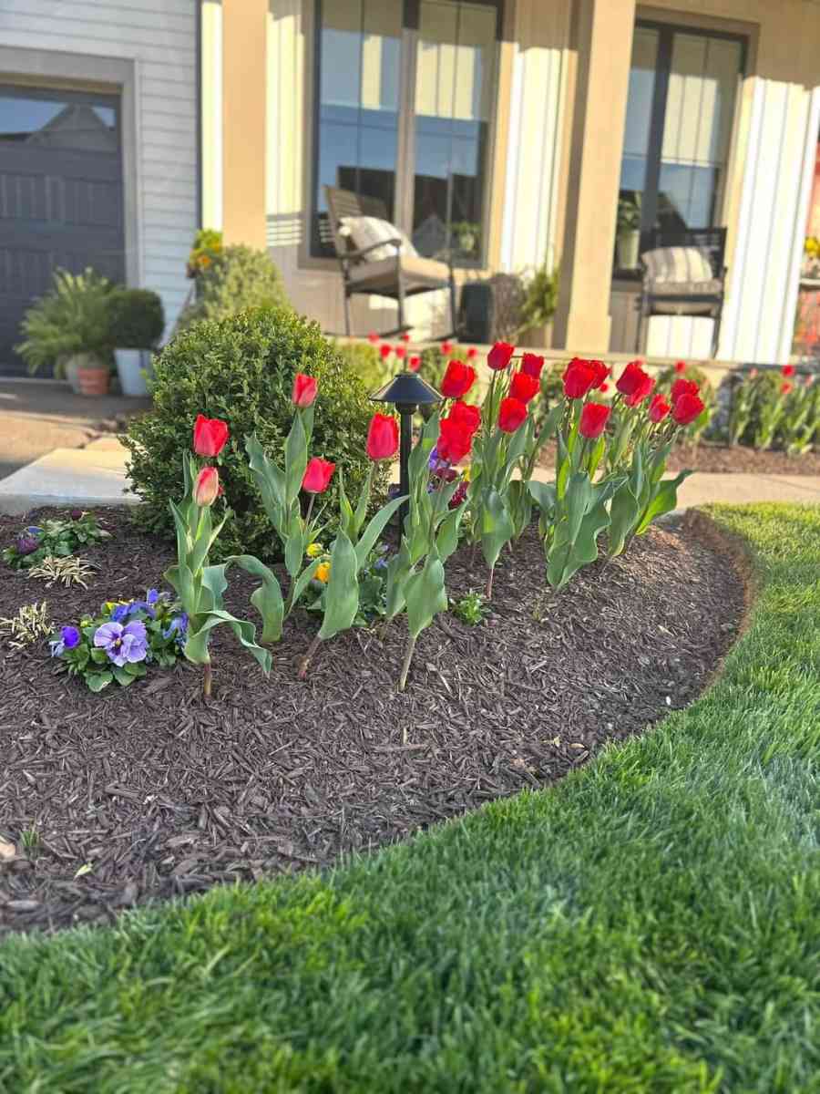 Servicio De Jardineria