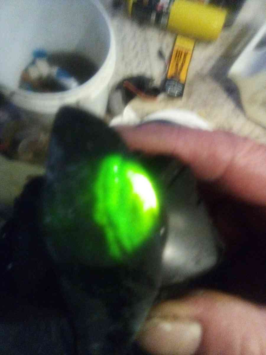 authentic Washington State Jade
